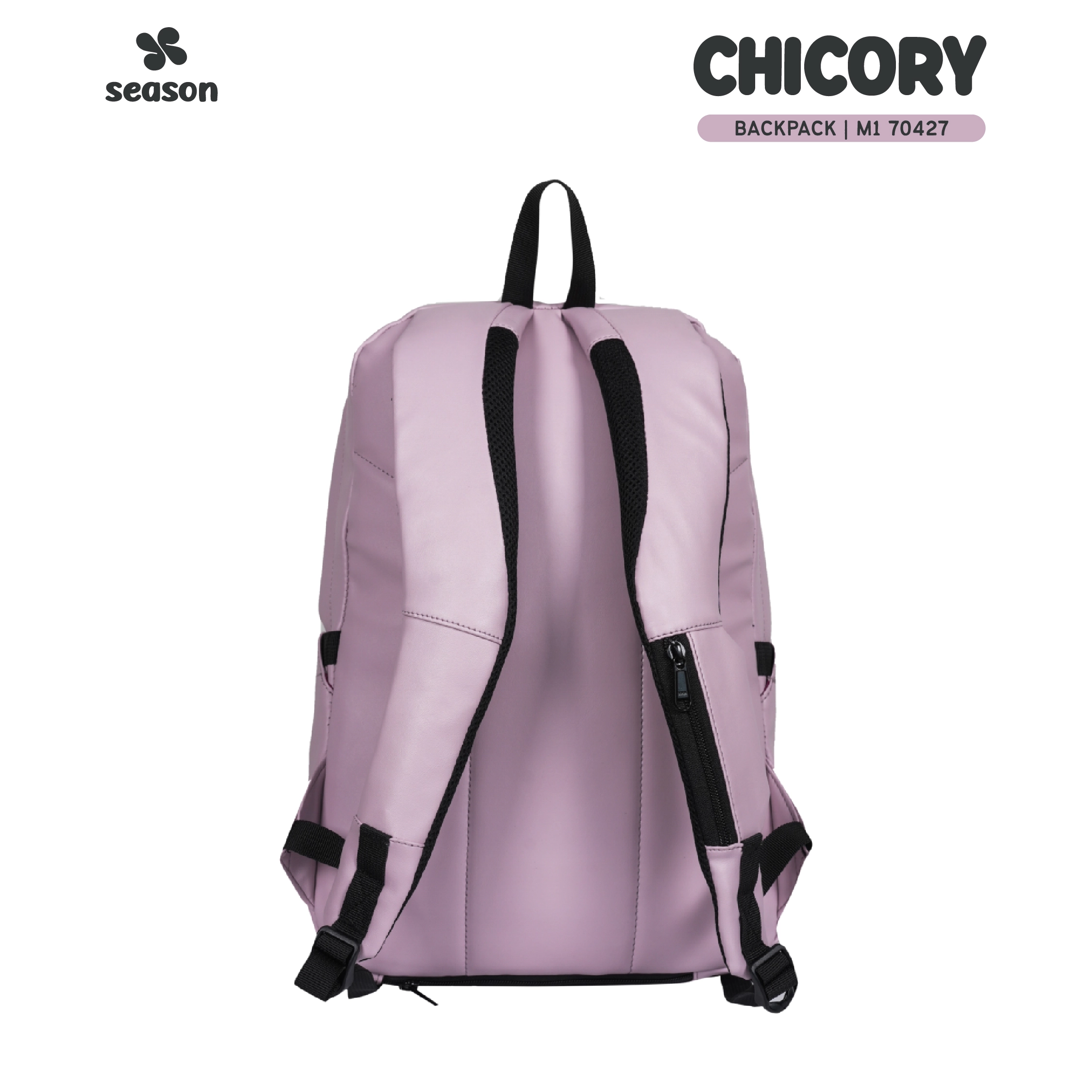 M1 70427 - LT CHICORY - Image 12